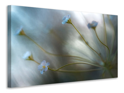 canvas-print-jasmine