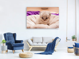 canvas-print-kitten-to-fall-in-love