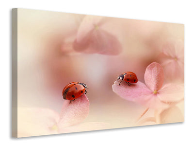 canvas-print-ladybirds-on-pink-hydrangea