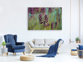 canvas-print-lavender-in-xl