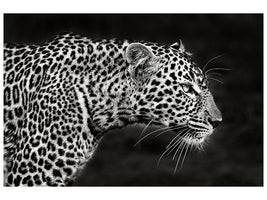 canvas-print-leopard-close-up-x