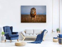 canvas-print-lion-close-up-x