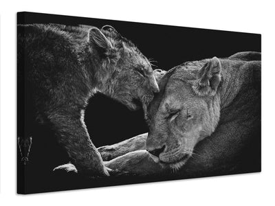 canvas-print-lion-family-x