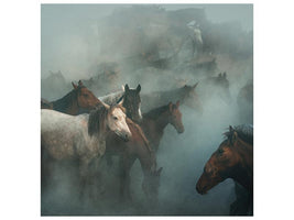 canvas-print-lost-horses-x