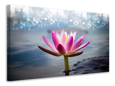 canvas-print-lotus-in-the-morning-dew