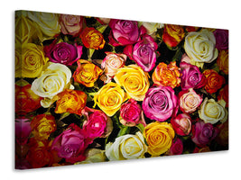 canvas-print-many-colorful-rose-petals