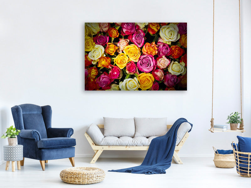 canvas-print-many-colorful-rose-petals