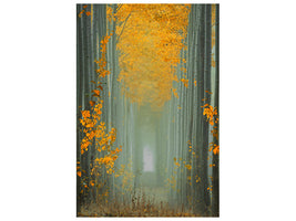 canvas-print-misty-autumn-path