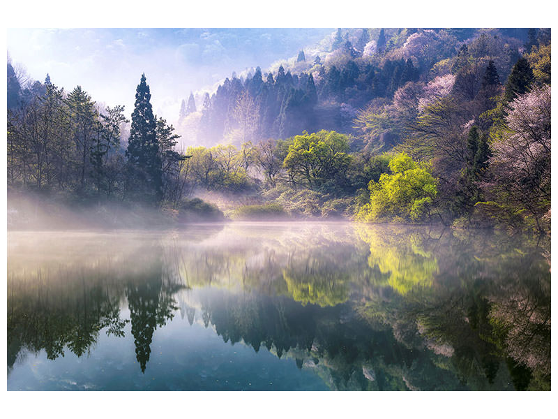 canvas-print-morning-calm