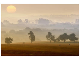 canvas-print-morning-view-x