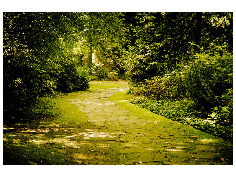 canvas-print-moss-covered-path