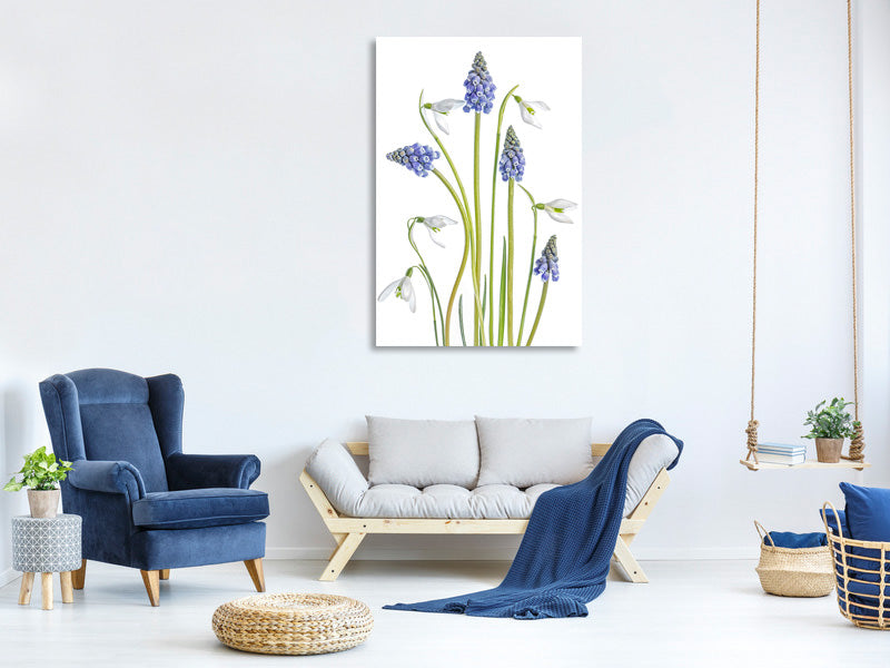 canvas-print-muscari-and-galanthus