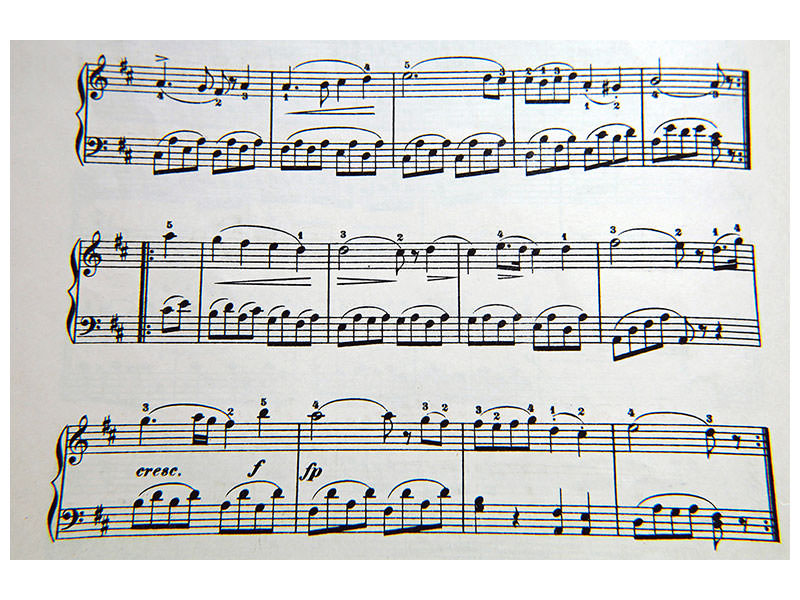 canvas-print-music-notes