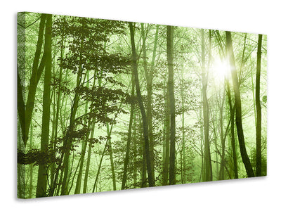 canvas-print-nibelungen-forest