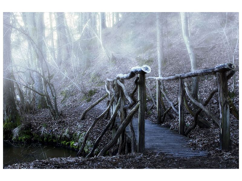 canvas-print-old-wooden-bridge-in-the-forest