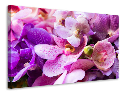 canvas-print-orchid-paradise