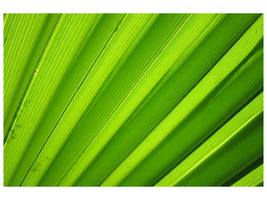 canvas-print-palm-stripes-ii