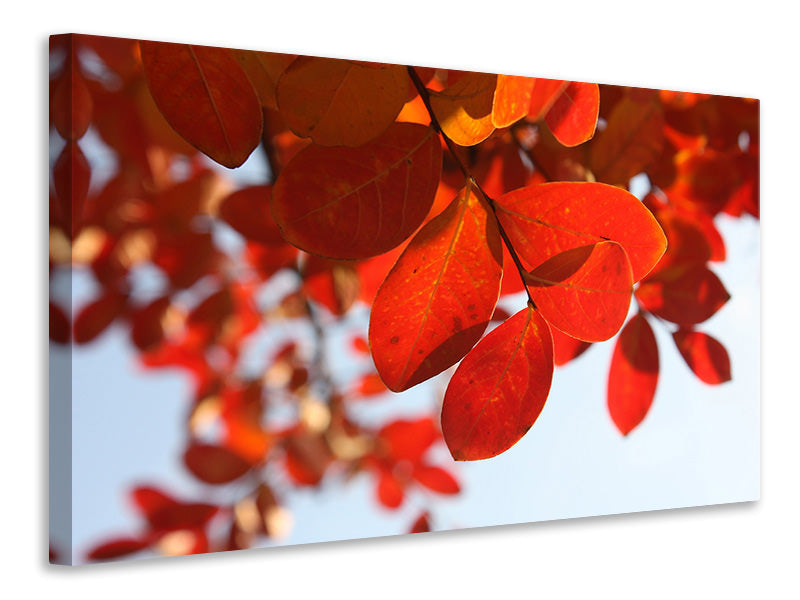 canvas-print-red-leaves-xl