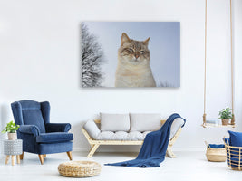 canvas-print-relaxed-cat-in-the-nature