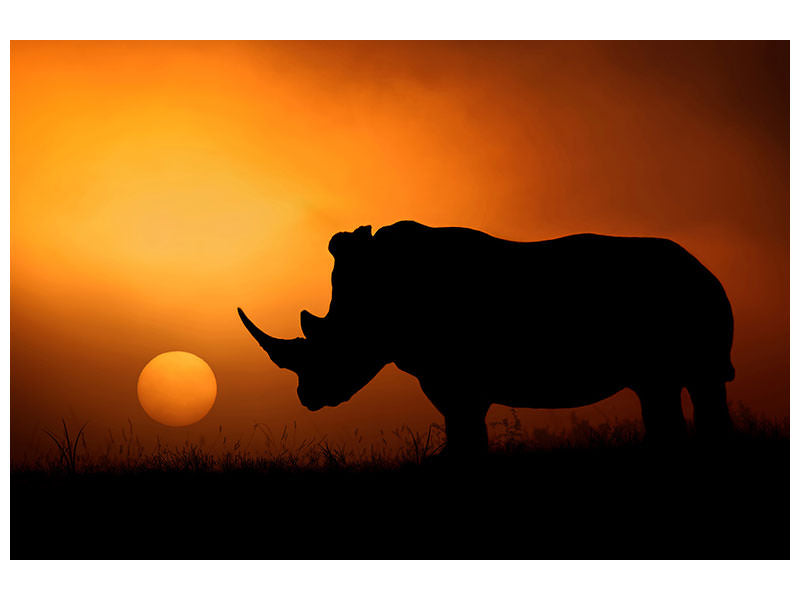 canvas-print-rhino-sunrise