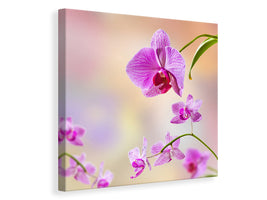 canvas-print-romantic-orchids