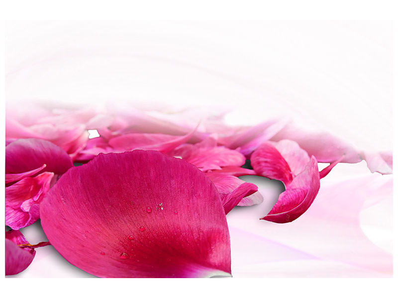 canvas-print-rose-petals-in-pink-iii