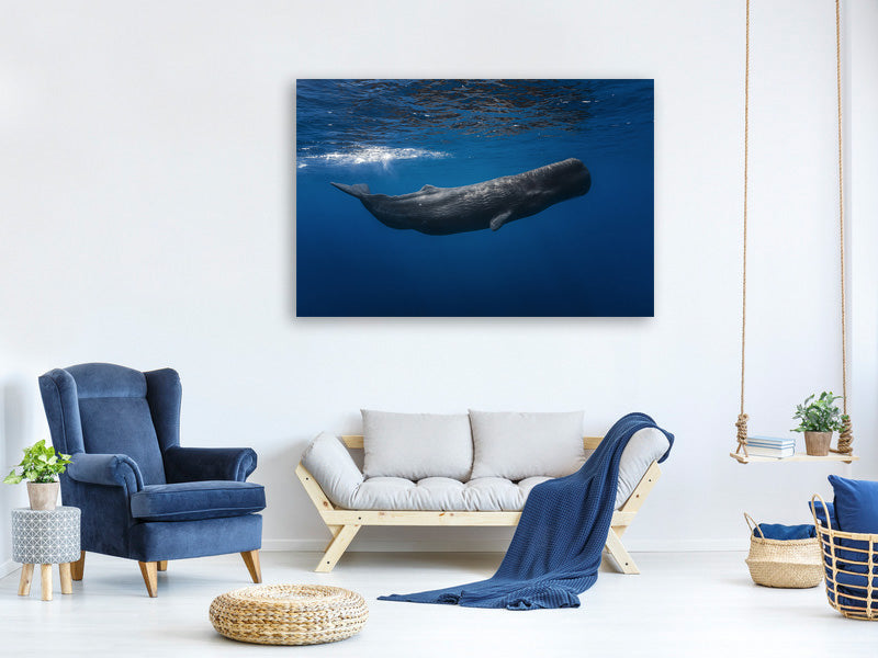canvas-print-sperm-whale