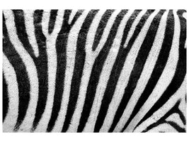 canvas-print-strip-of-the-zebra