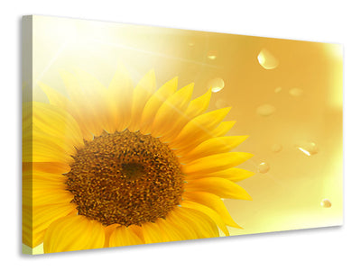 canvas-print-sunflower-in-morning-dew
