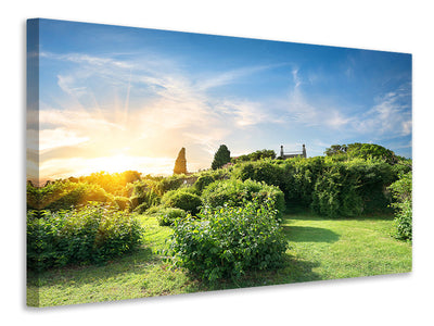 canvas-print-sunrise-in-the-park