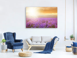 canvas-print-sunset-in-lavender-field