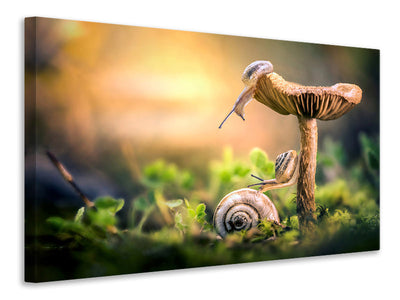 canvas-print-the-awakening-of-snails