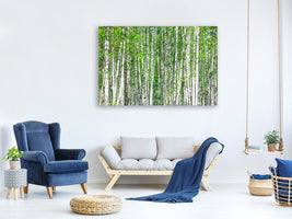 canvas-print-the-birch-forest