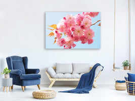 canvas-print-the-cherry-blossoms