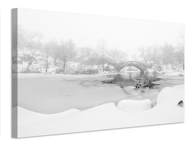 canvas-print-the-first-snow-of-central-park-x