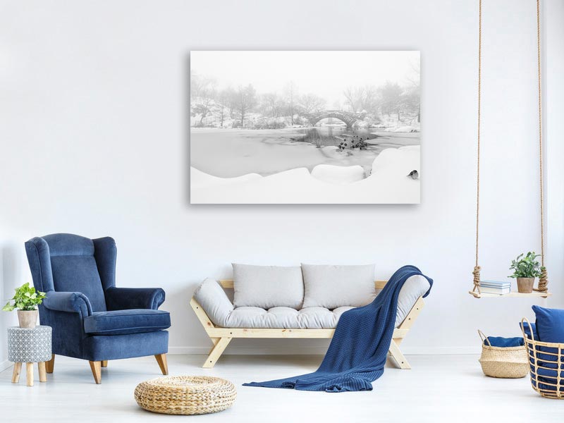 canvas-print-the-first-snow-of-central-park-x