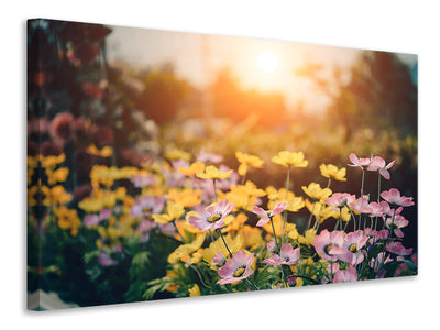 canvas-print-the-flowers