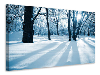 canvas-print-the-forest-without-tracks-in-the-snow