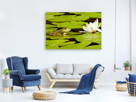 canvas-print-the-frog-and-the-water-lily