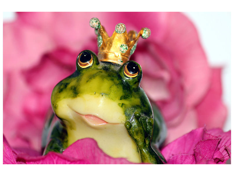canvas-print-the-frog-prince