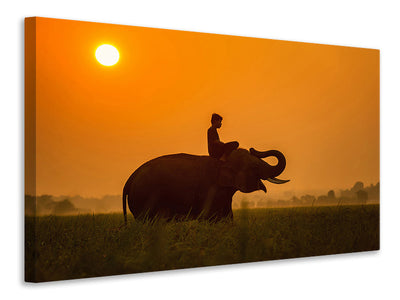 canvas-print-the-holy-elephant