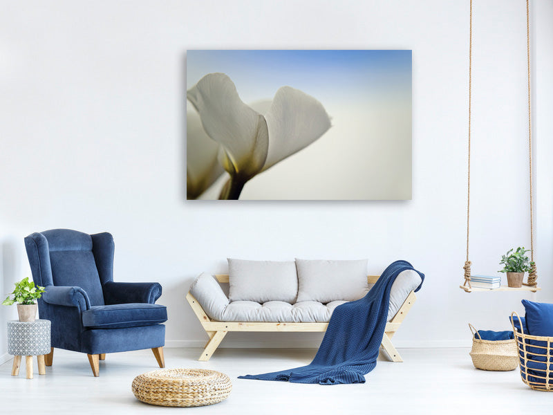 canvas-print-the-leaf-of-a-lily-blossom