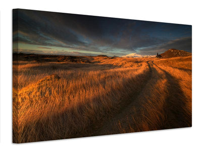 canvas-print-the-long-winding-road-x