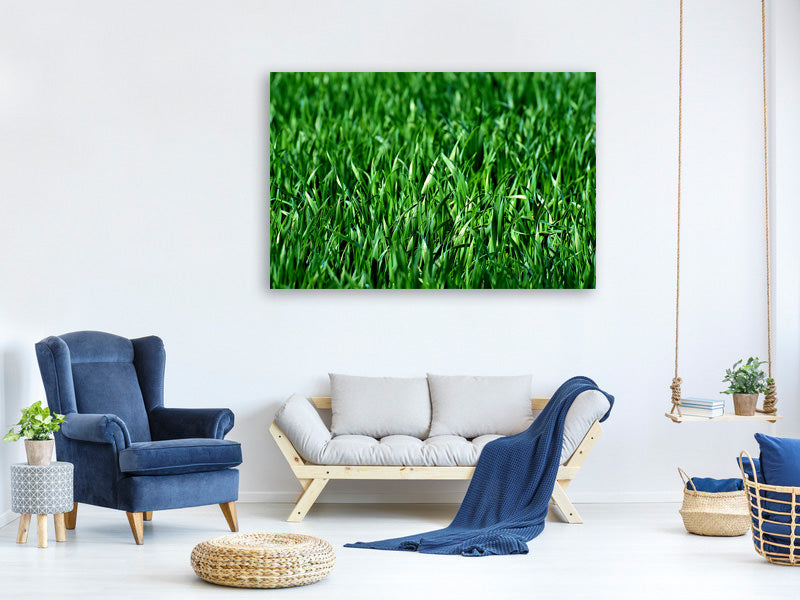 canvas-print-the-meadow-in-xl