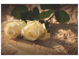 canvas-print-the-purity-of-the-roses