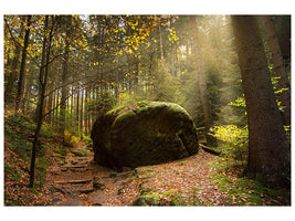 canvas-print-the-rock-in-the-forest