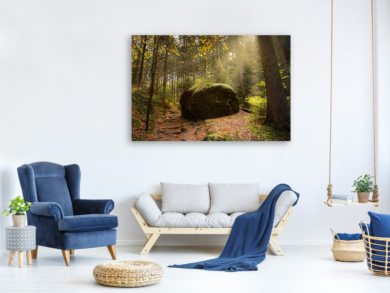 canvas-print-the-rock-in-the-forest