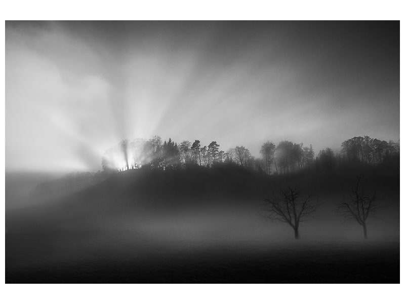 canvas-print-the-sun-in-the-fog