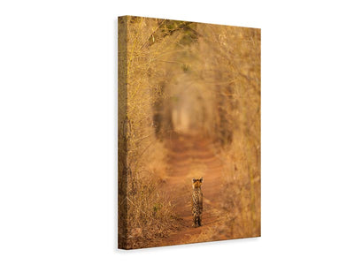 canvas-print-the-tiger-in-the-tunnel-x