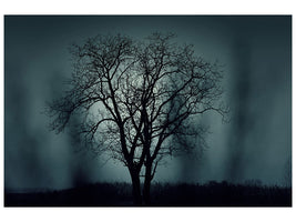 canvas-print-the-tree-in-darkness